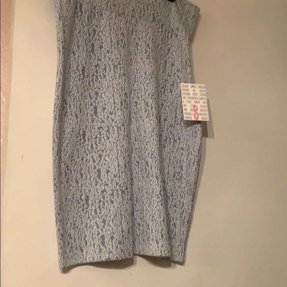 Skirt Brand New.